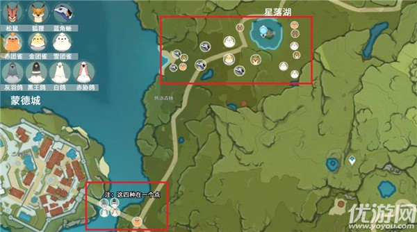 原神四方八方之网使用方法 原神四方八方之网捕捉攻略