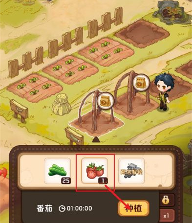 家有小店怎么种番茄 家有小店一键种植攻略