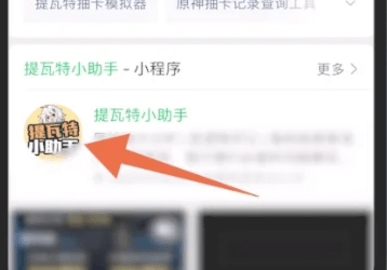 提瓦特小助手怎么看抽卡？提瓦特小助手抽卡查看方法