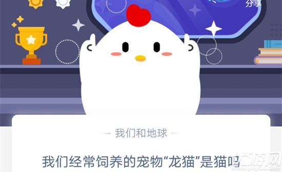 我们经常饲养的宠物“龙猫”是猫吗 蚂蚁庄园10月19日每日一题答案