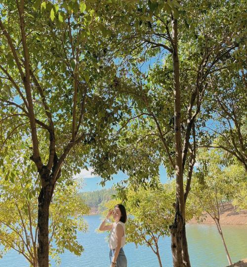 数值佣兵团后期玩法攻略（如何提升团队实力获得更多收益）