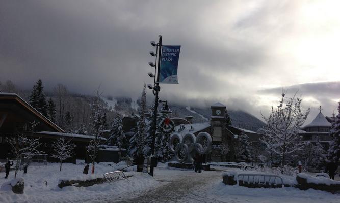 白嫖攻略（揭秘白嫖的新趋势，助力你更加高效地享受免费资源）(白嫖gog)