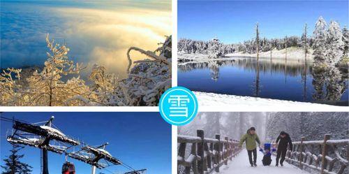 以雪居之地砰砰的资源需求剖析（探索砰砰对资源的需求，为生存策略提供指南）