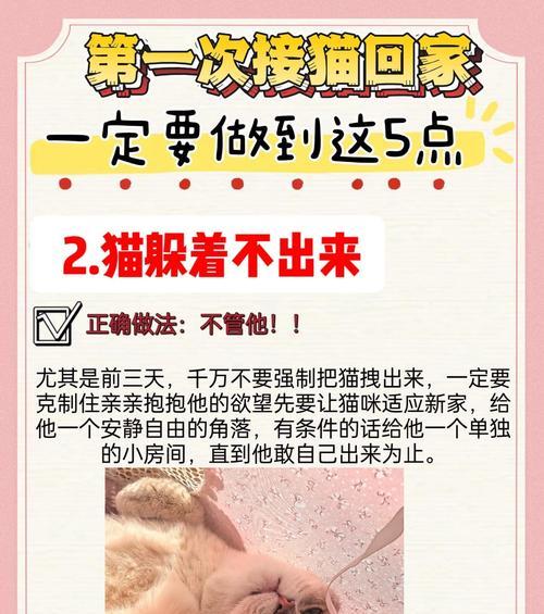 喵喵技能配招攻略——掌握技能组合，成为无敌喵王！（喵喵技能配招攻略，提高战斗效率，玩转猫咪世界）(喵喵技能配招攻略视频)